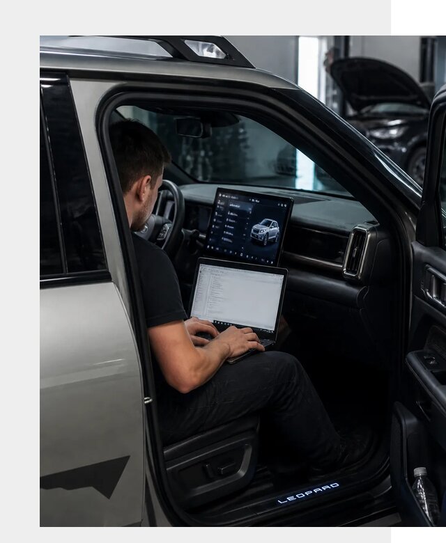 Русификация BYD Leopard 3 в Мариинске по цене от 20294 р. | ФастМобиль-Мрн